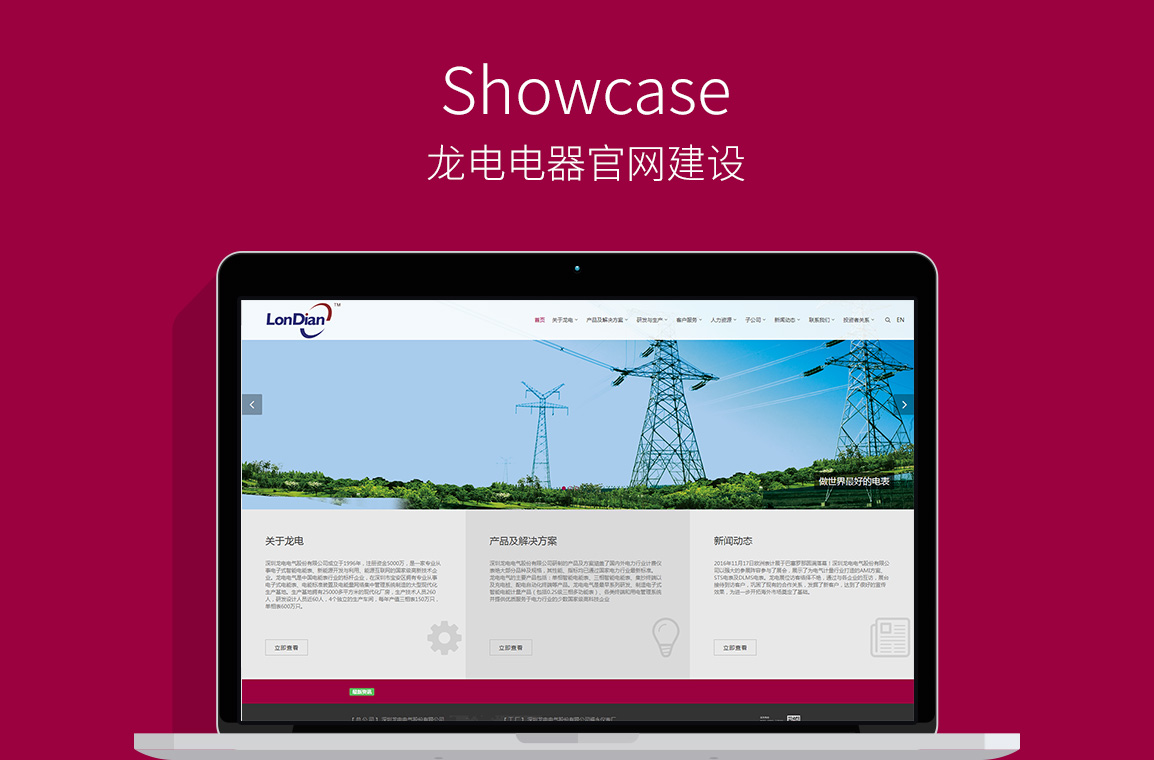 龍電電器官網網站建設圖